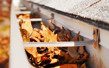 Norcross gutter cleaning companies