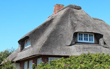 thatch roofing Norcross, Lancashire